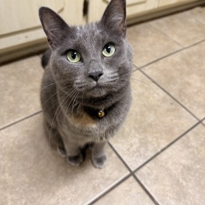 Photo of Kiki