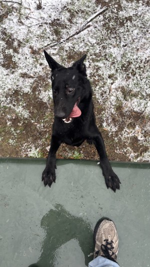 Photo of Ace