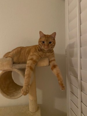 Photo of Bisbee
