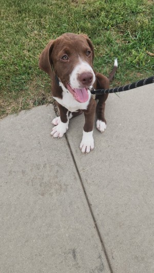 Photo of Ezra