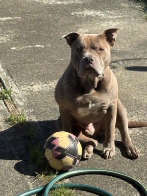 Photo of Zeus