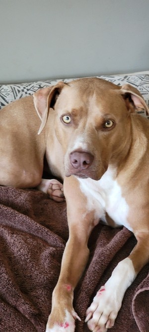 Photo of Ceasar