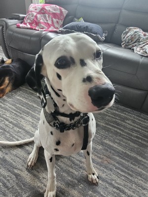 Photo of Charlie
