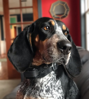 Photo of Maggie
