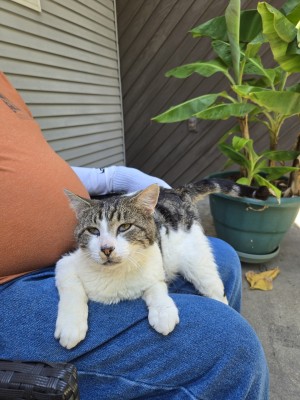 Photo of RUDY (Rudolph)