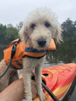 Photo of Macy