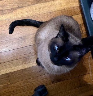 Photo of (Sir) Davos