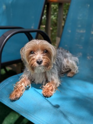 Photo of Miss Mae