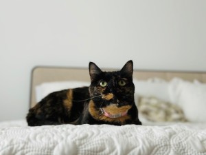 Photo of Ruby
