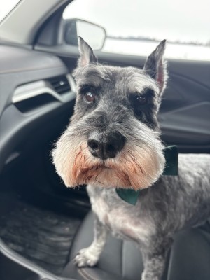 Photo of Dave