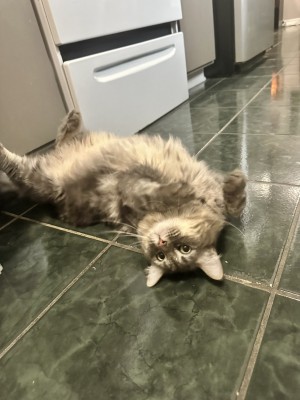 Photo of Todd