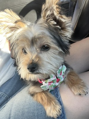 Photo of Wendy And Suki