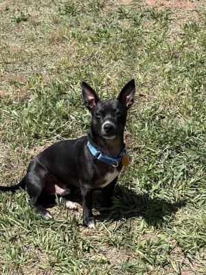Photo of Velo