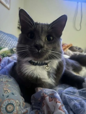 Photo of Wybie