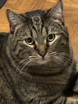 Photo of Diego