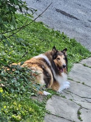 Photo of Duncan