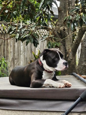 Photo of Ricky