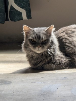 Photo of Borte