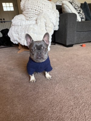 Photo of Walter