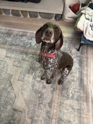 Photo of Daisy