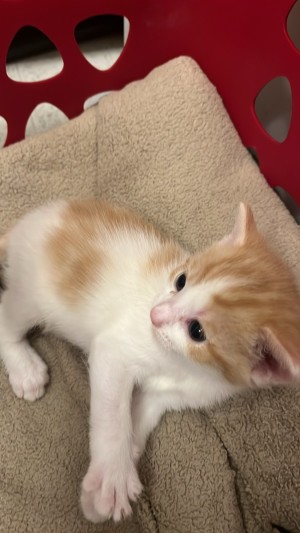 Photo of Parker