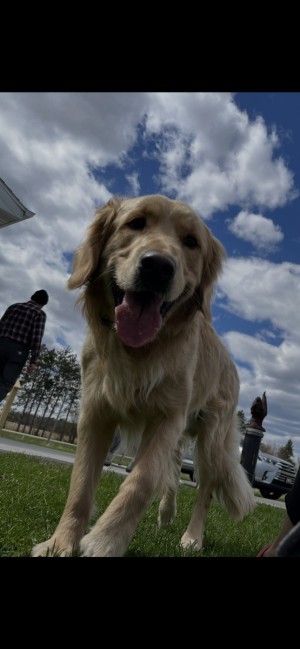 Photo of Floyd