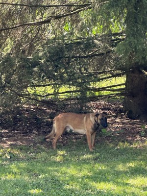 Photo of Reece