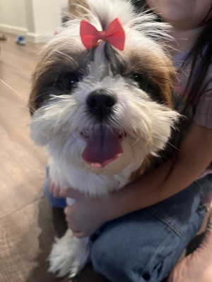 Photo of Sophie