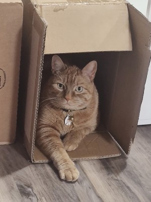Photo of Ember