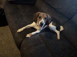 Photo of Charlie