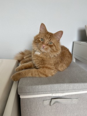 Photo of Fez