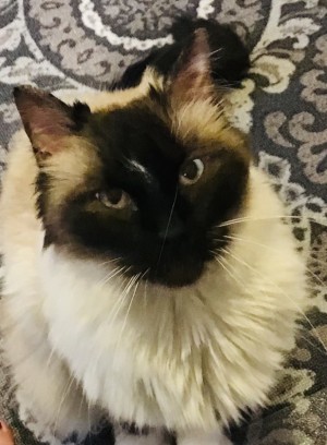 Photo of Gus