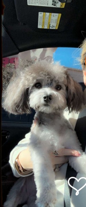Photo of Mirabel