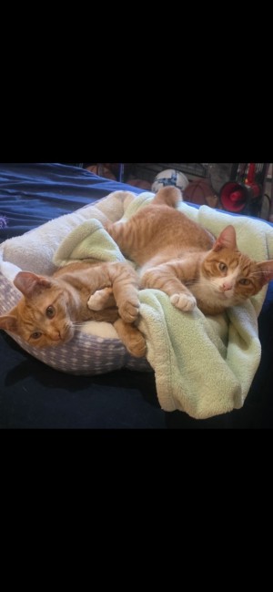 Photo of Hope And Joy