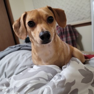 Photo of Tank