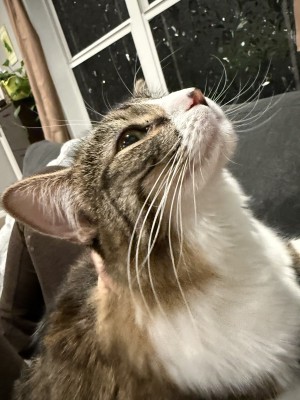 Photo of Michi