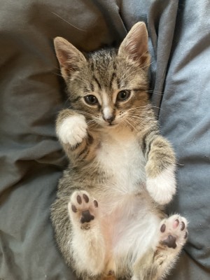 Photo of Sunny