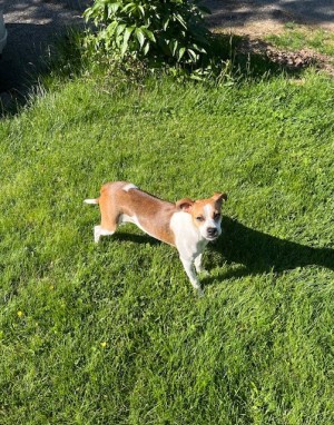 Photo of Roxy