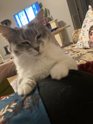Photo of Sophie