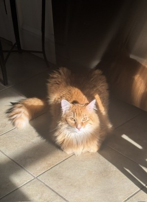 Photo of Wyatt