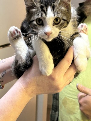 Photo of Oliver