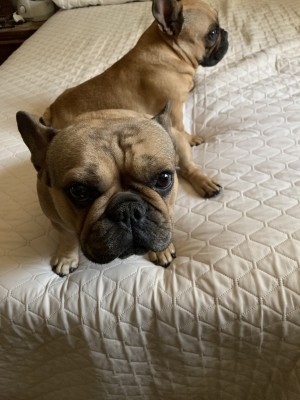 Photo of Jackie
