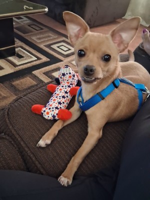 Photo of Paco