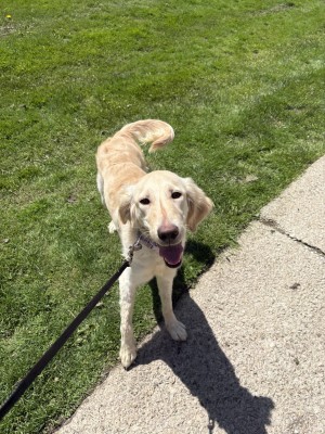 Photo of Chloe