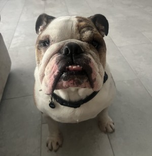 Photo of Bruce