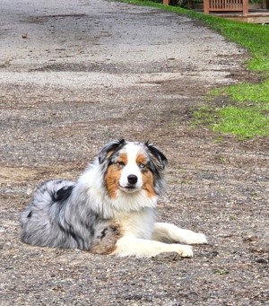 Photo of Goober