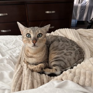 Photo of Jack