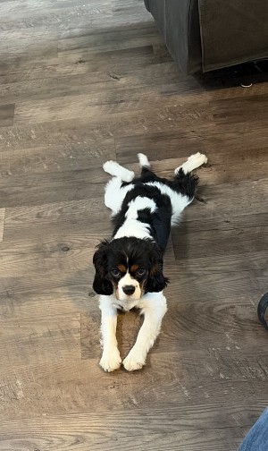 Photo of Gus