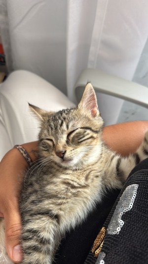 Photo of Gus