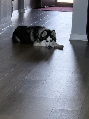 Photo of Charlie